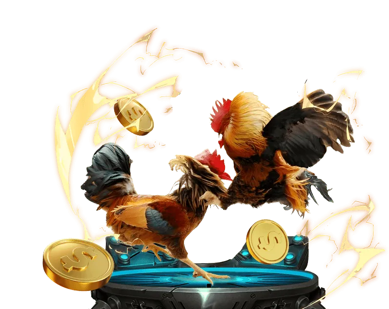 Toàn cảnh trường gà trực tuyến Miso88